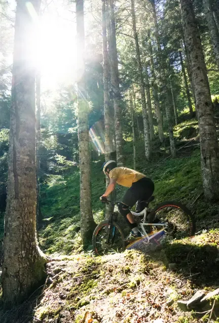 VTT foret